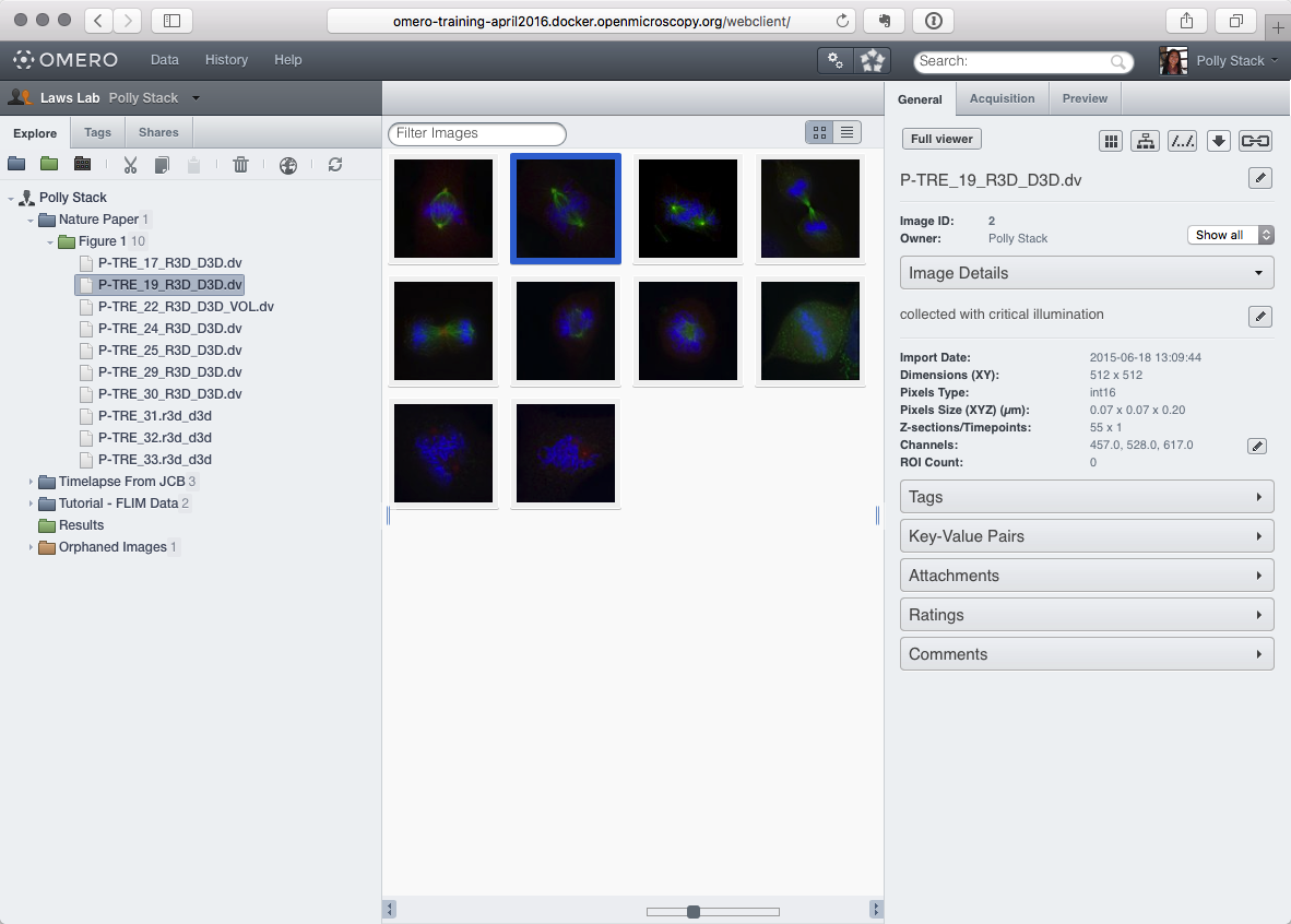 OMERO.web user interface